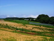 宮古地区（田野畑村　岩泉町　宮古市）